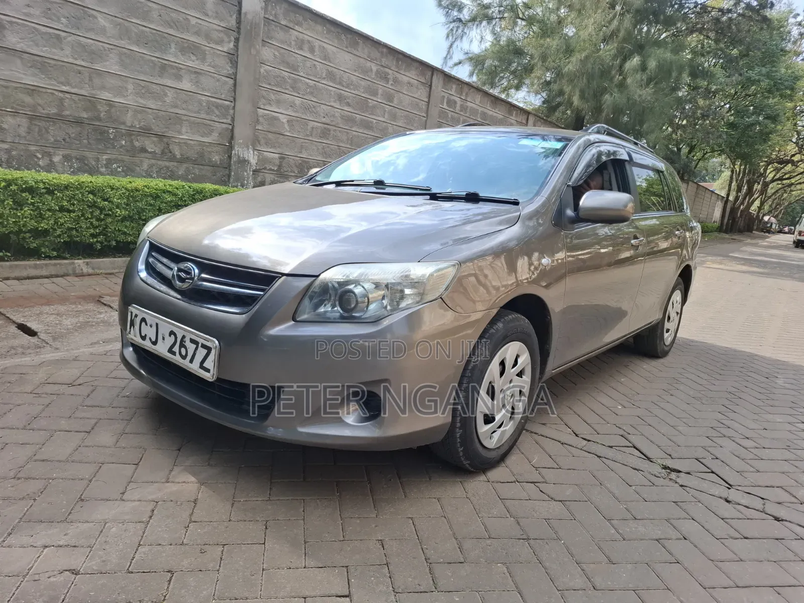 Toyota Corolla Fielder 2010 Gray
