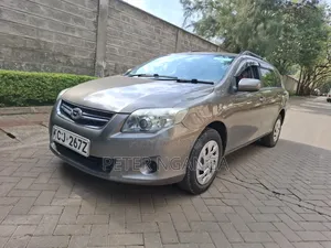 Toyota Corolla Fielder 2010 Gray