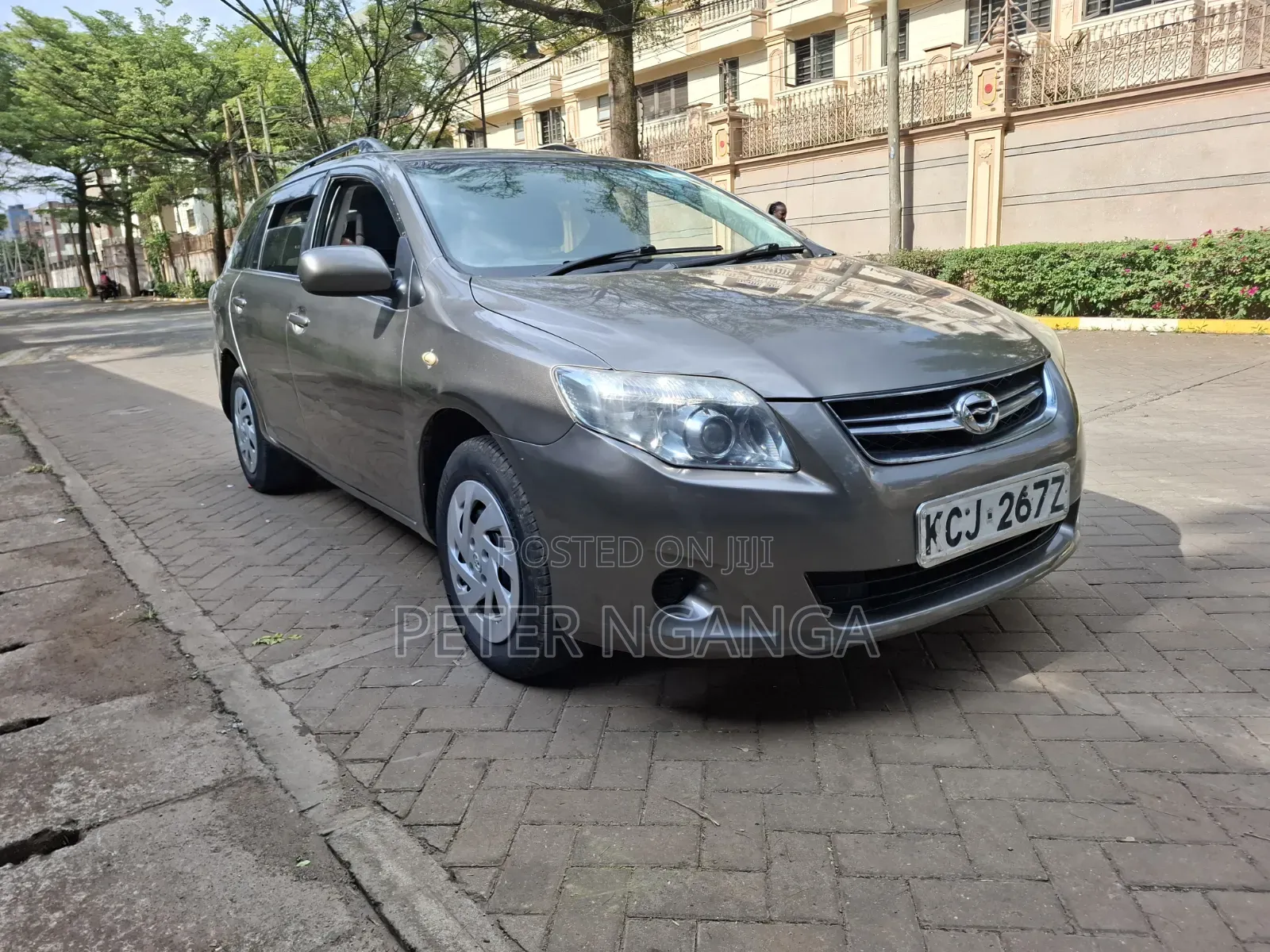 Toyota Corolla Fielder 2010 Gray