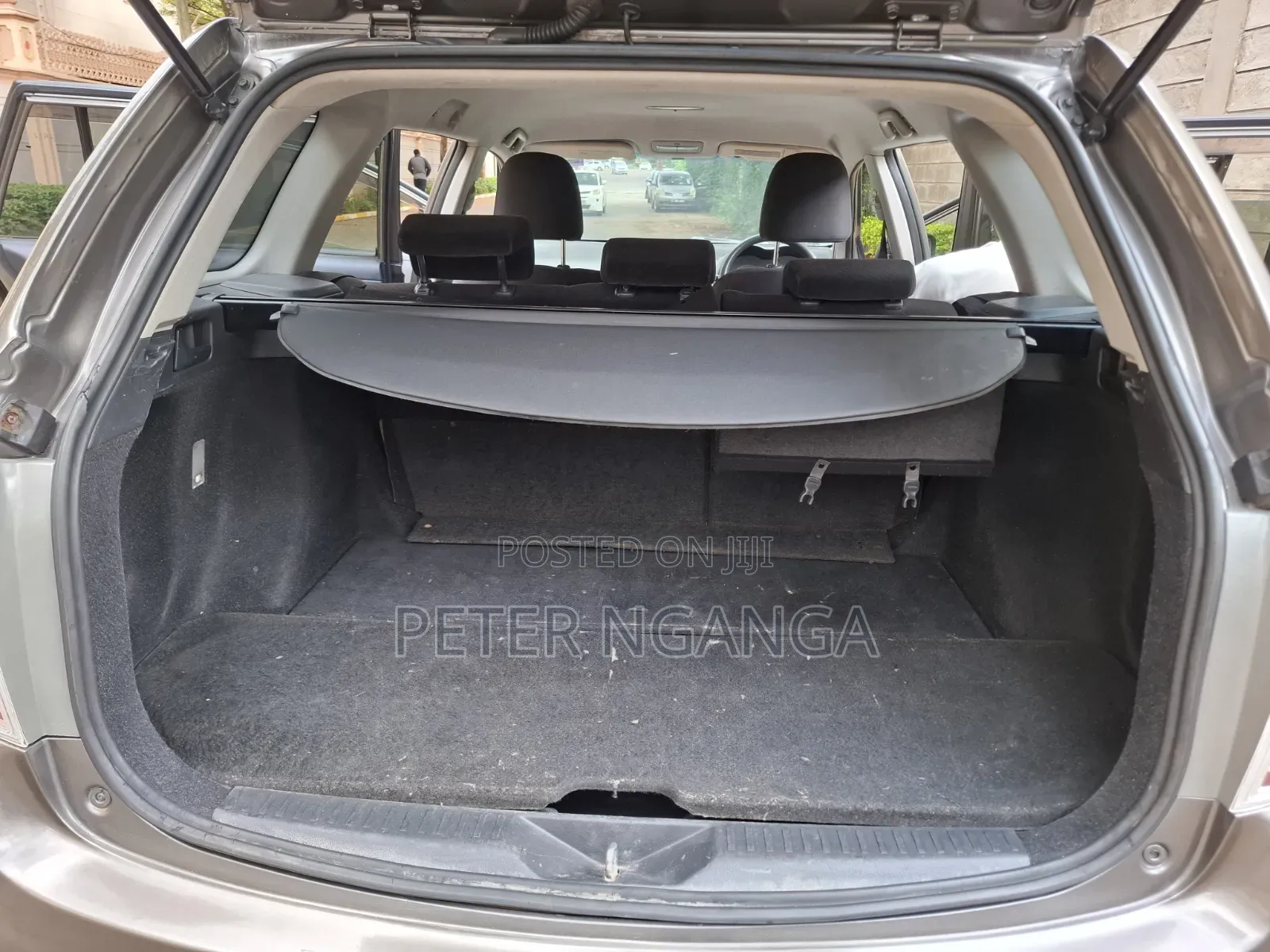 Toyota Corolla Fielder 2010 Gray