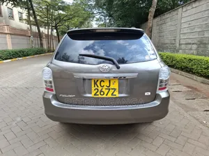 Toyota Corolla Fielder 2010 Gray