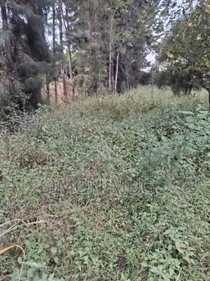 Kamiti Road 1/2 Acre Fronting Main Kamiti Road