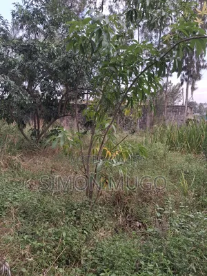 Kamiti Road Commercial 1/2 Acre to Let Fronting Main Kamiti Road