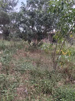 Kamiti Road Commercial 1/2 Acre to Let Fronting Main Kamiti Road
