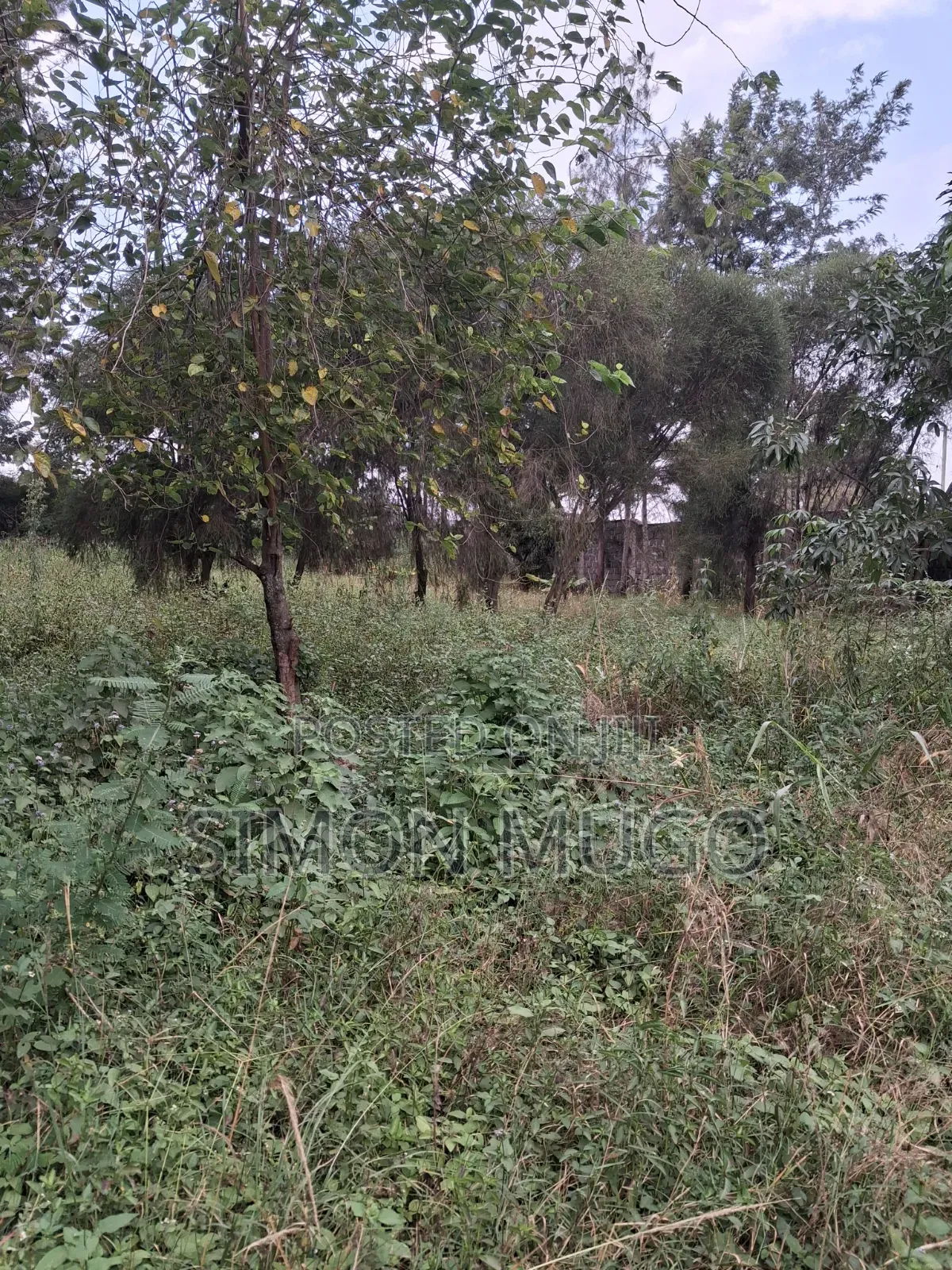 Kamiti Road Commercial 1/2 Acre to Let Fronting Main Kamiti Road