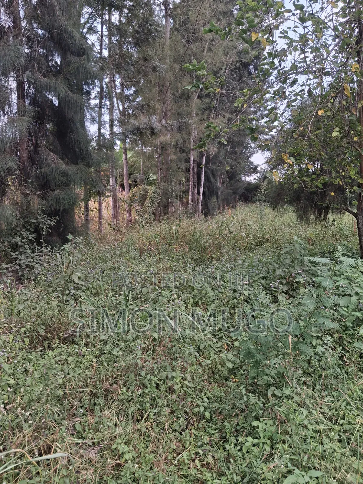 Kamiti Road Commercial 1/2 Acre to Let Fronting Main Kamiti Road