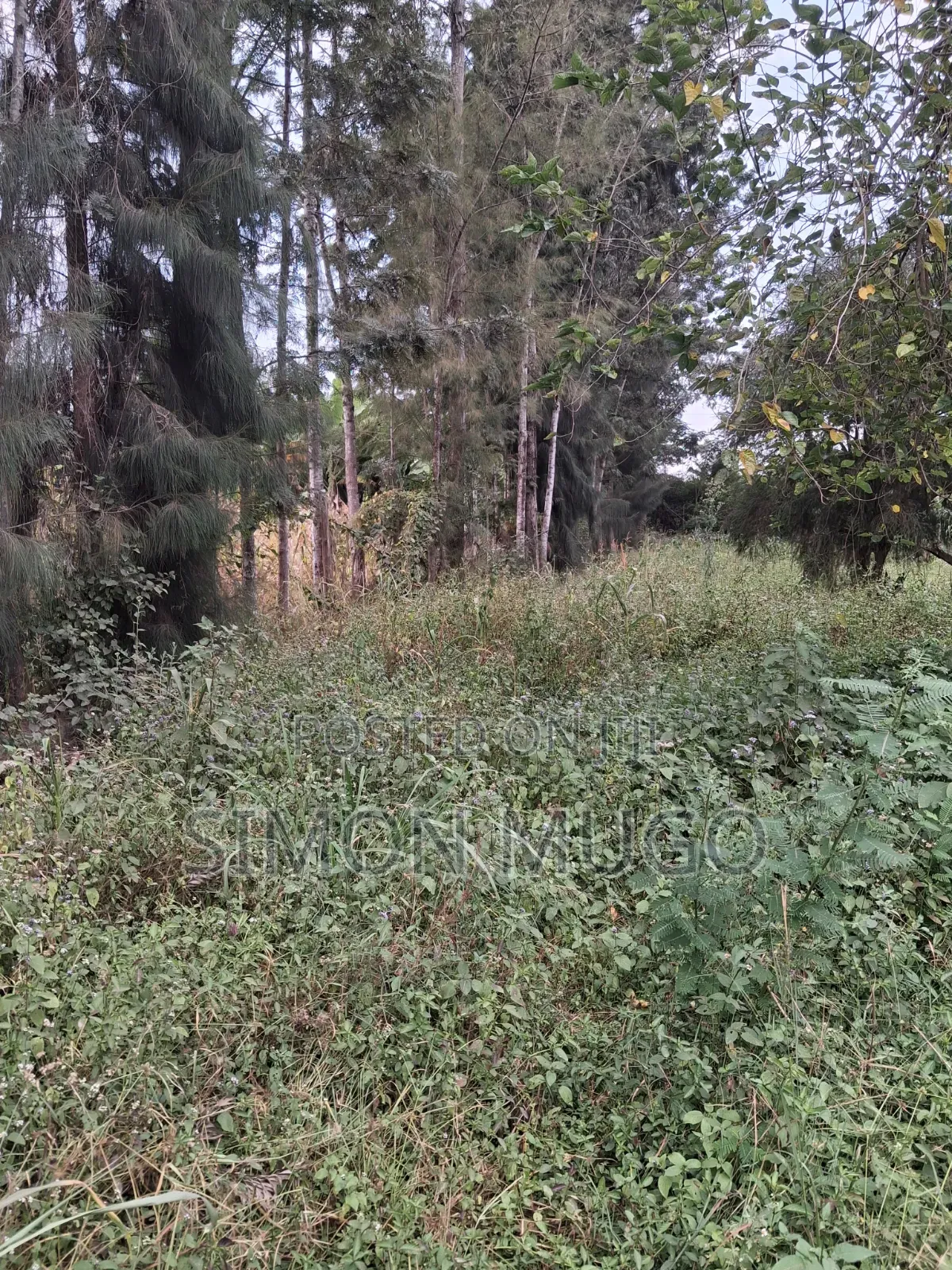 Kamiti Road Commercial 1/2 Acre to Let Fronting Main Kamiti Road