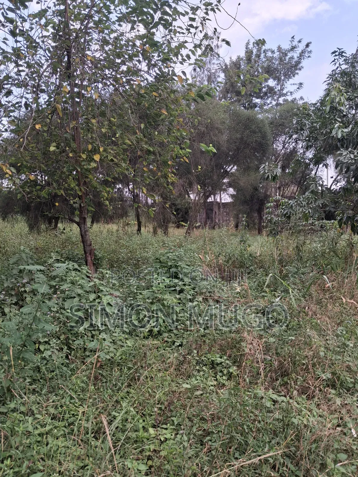 Kamiti Road Commercial 1/2 Acre to Let Fronting Main Kamiti Road