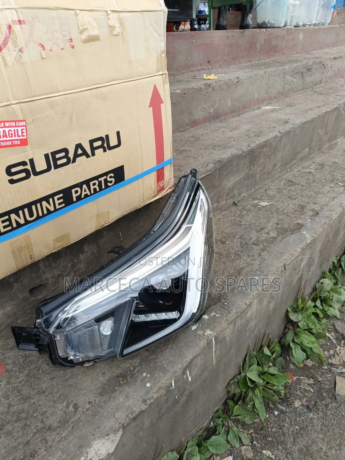 Headlight Subaru Ske Xenon Engrave (Kg)