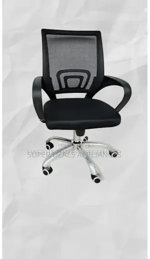 Assembled Exacative Office Chair