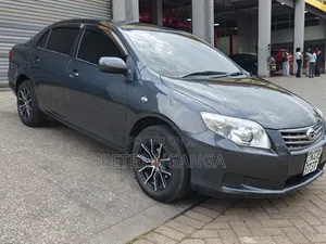 Toyota Axio 2012 Gray