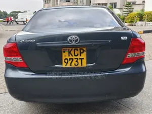 Toyota Axio 2012 Gray