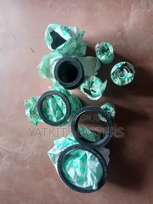 Oil Seals for Sale