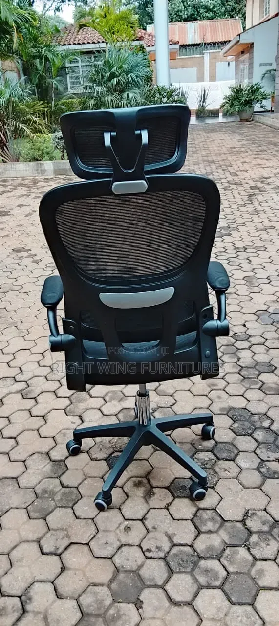 Ready in Stock Black Ergonomic and Lumbar Support Office Chair -