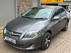 Toyota Axio 2008 Gray