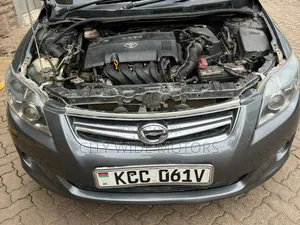 Toyota Axio 2008 Gray