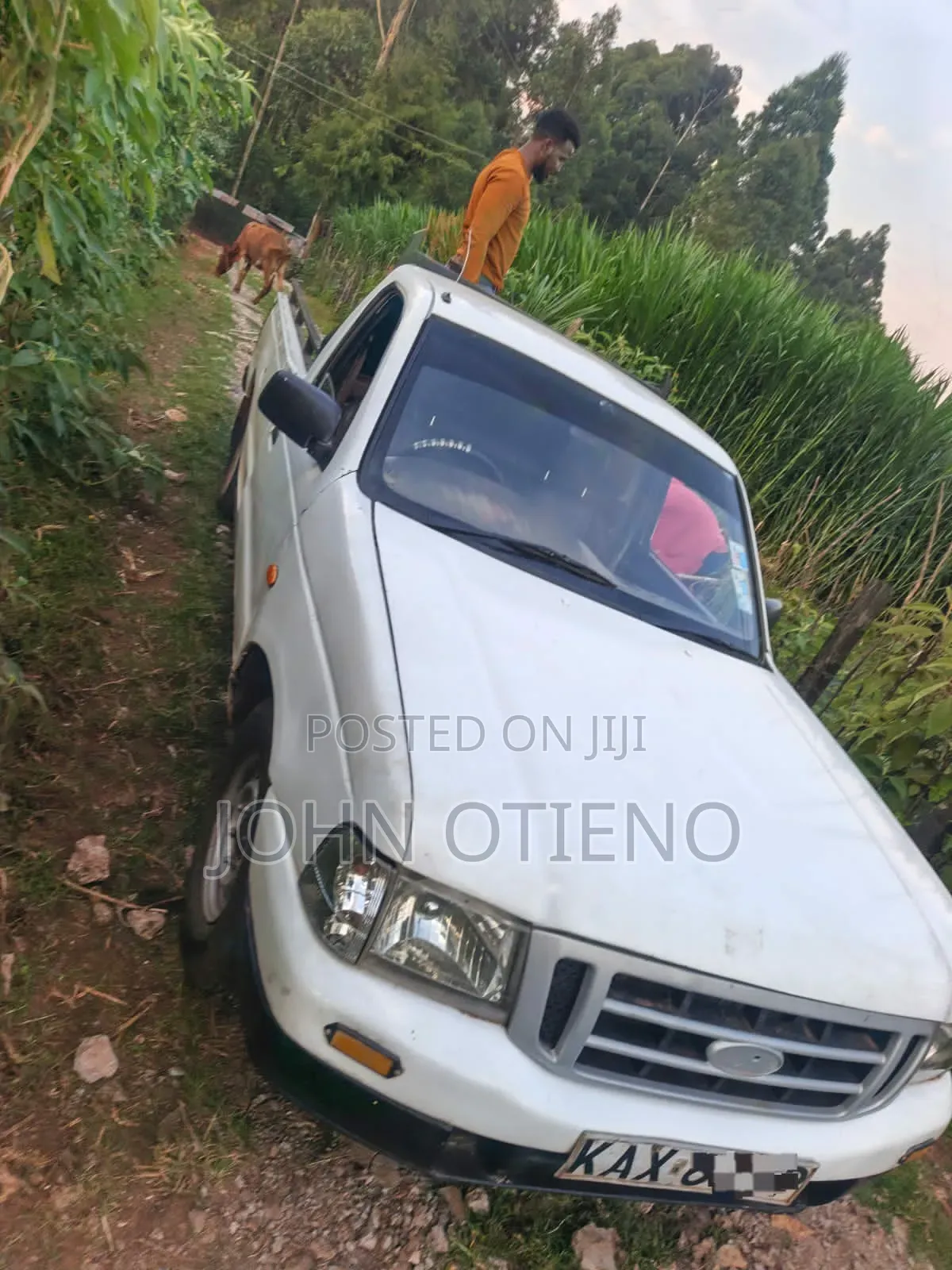 Ford Ranger 2001 White