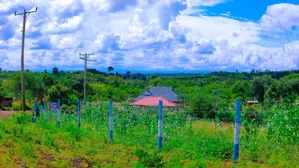 50 by 100 Plots for Sale in Embu Mwea .Zuri Garden Phase 2