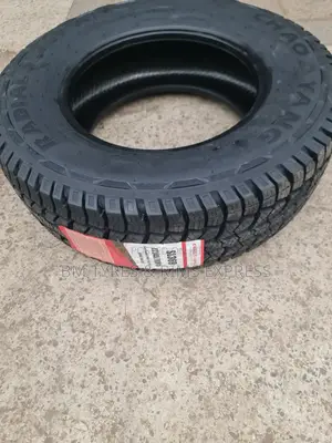 Lt 245 /70 R16 Chaoyang Tires (All Terrain)