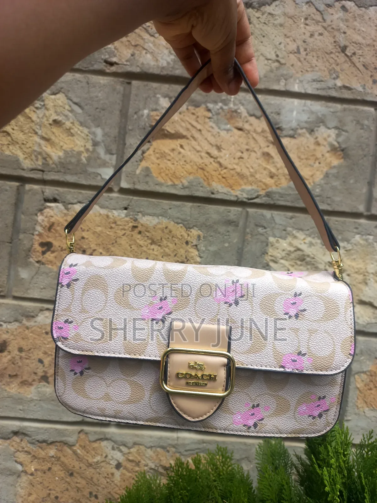 Coach Bags