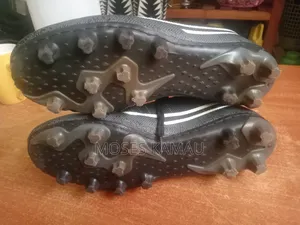 Pair of Boots All Weather