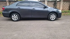 Toyota Axio 2010 Gray
