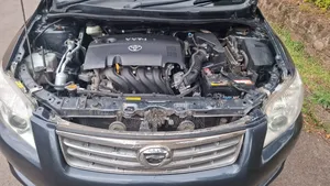 Toyota Axio 2010 Gray