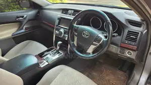 Toyota Mark X 2010 Gray