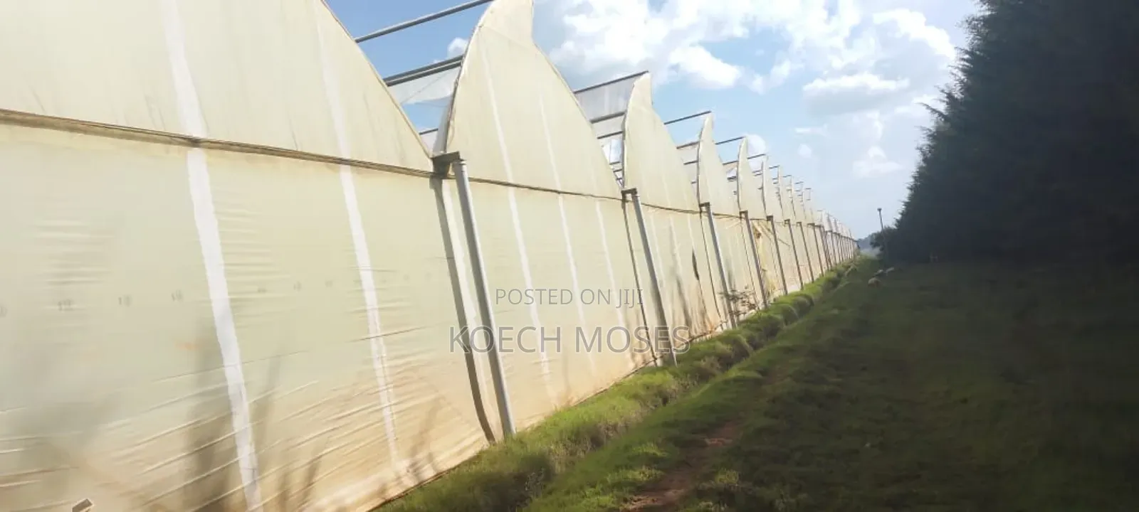347 Acres of Prime Agricultural Land for Sale in Kuresoi North.