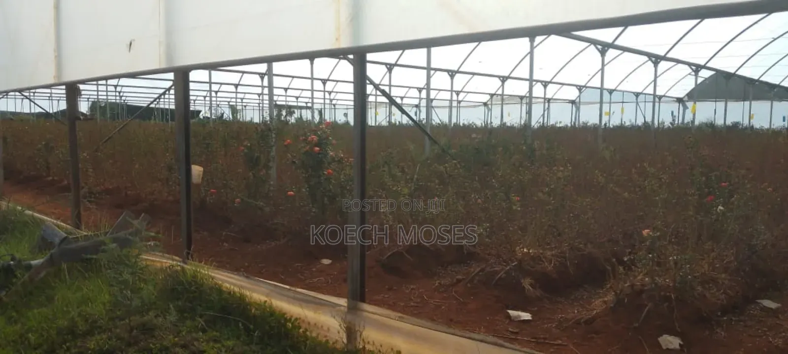 347 Acres of Prime Agricultural Land for Sale in Kuresoi North.