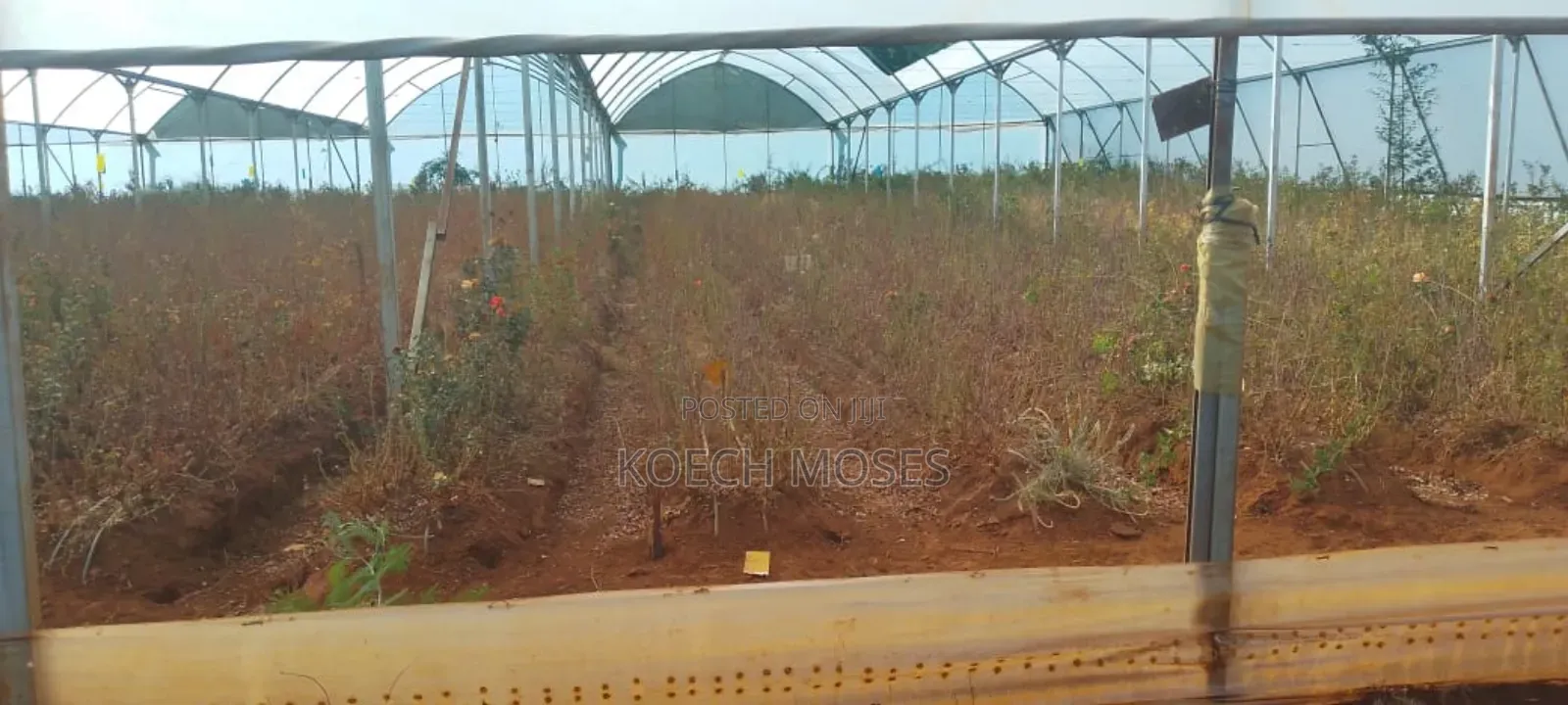 347 Acres of Prime Agricultural Land for Sale in Kuresoi North.