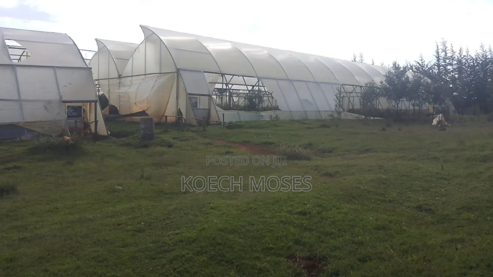 347 Acres of Prime Agricultural Land for Sale in Kuresoi North.