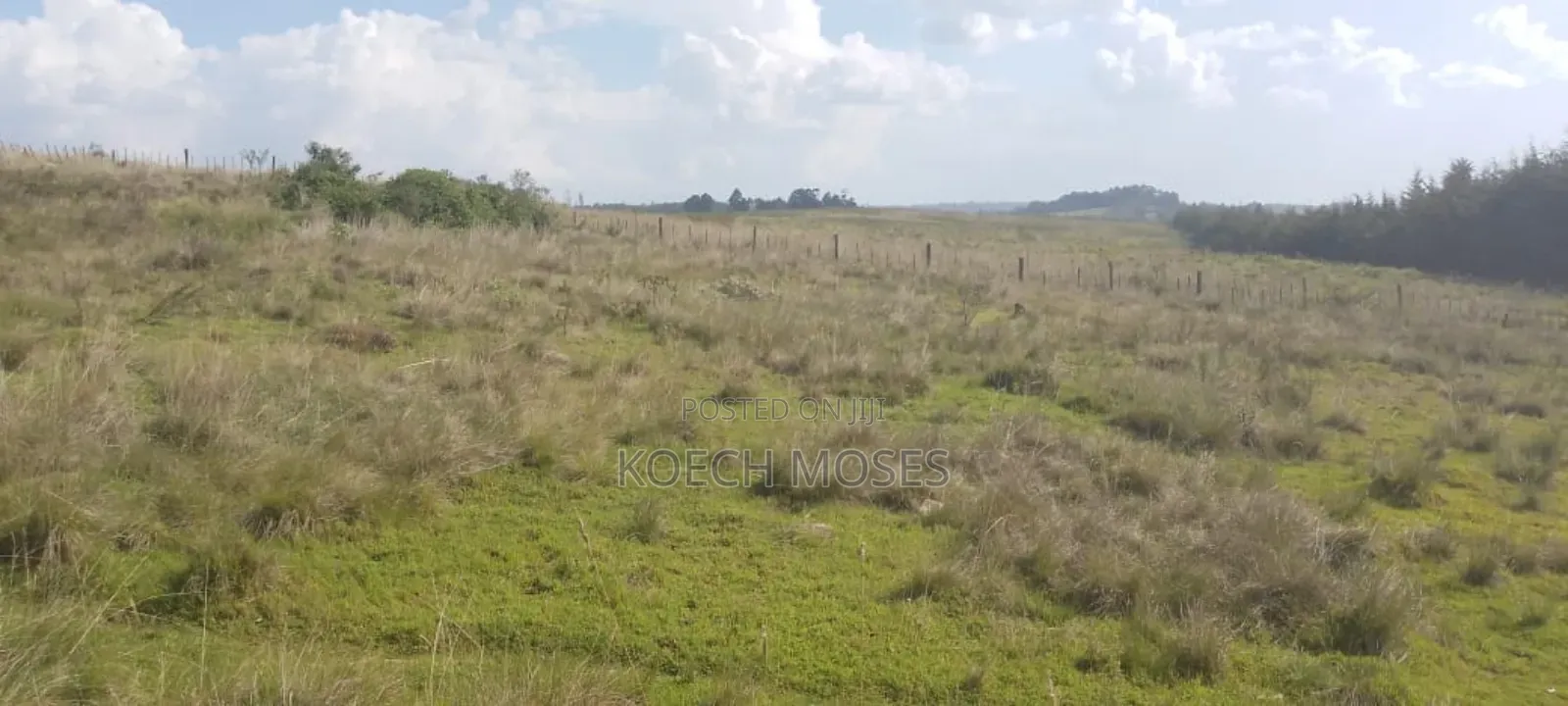 347 Acres of Prime Agricultural Land for Sale in Kuresoi North.
