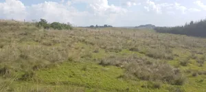 347 Acres of Prime Agricultural Land for Sale in Kuresoi North.