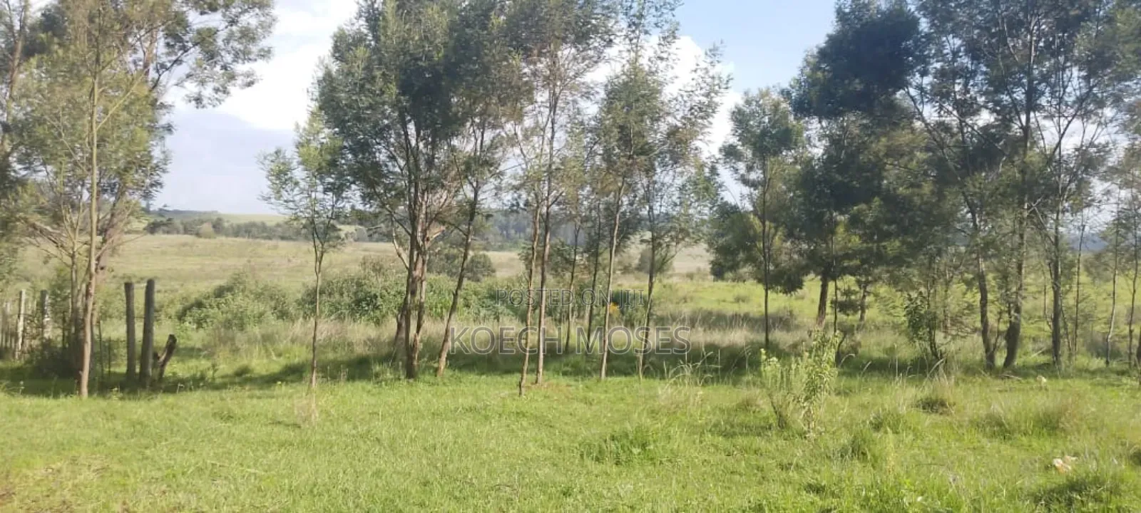 347 Acres of Prime Agricultural Land for Sale in Kuresoi North.