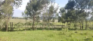 347 Acres of Prime Agricultural Land for Sale in Kuresoi North.