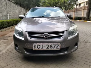 Toyota Corolla Fielder 2010 Gray
