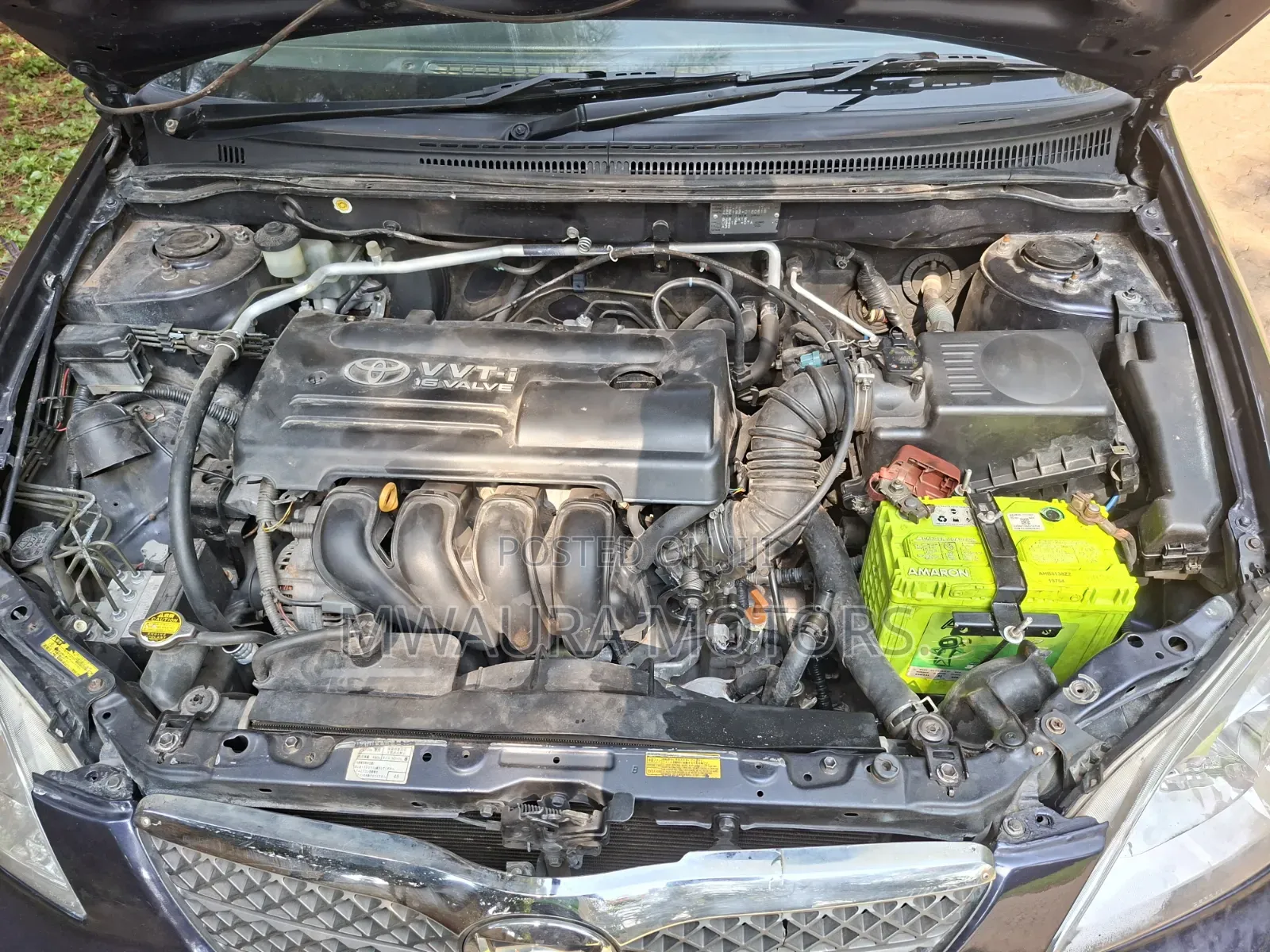 Toyota Corolla RunX 2004 Purple