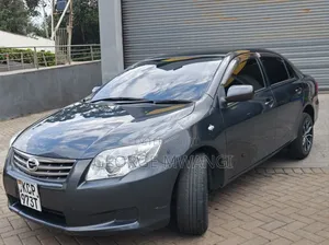 Toyota Axio 2012 Gray