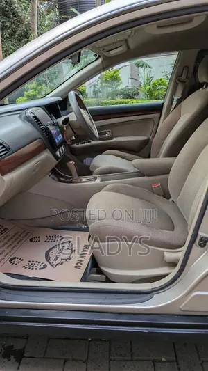 Nissan Sylphy 2008 Gold