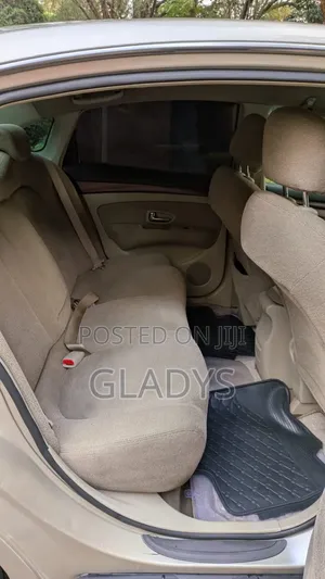 Nissan Sylphy 2008 Gold