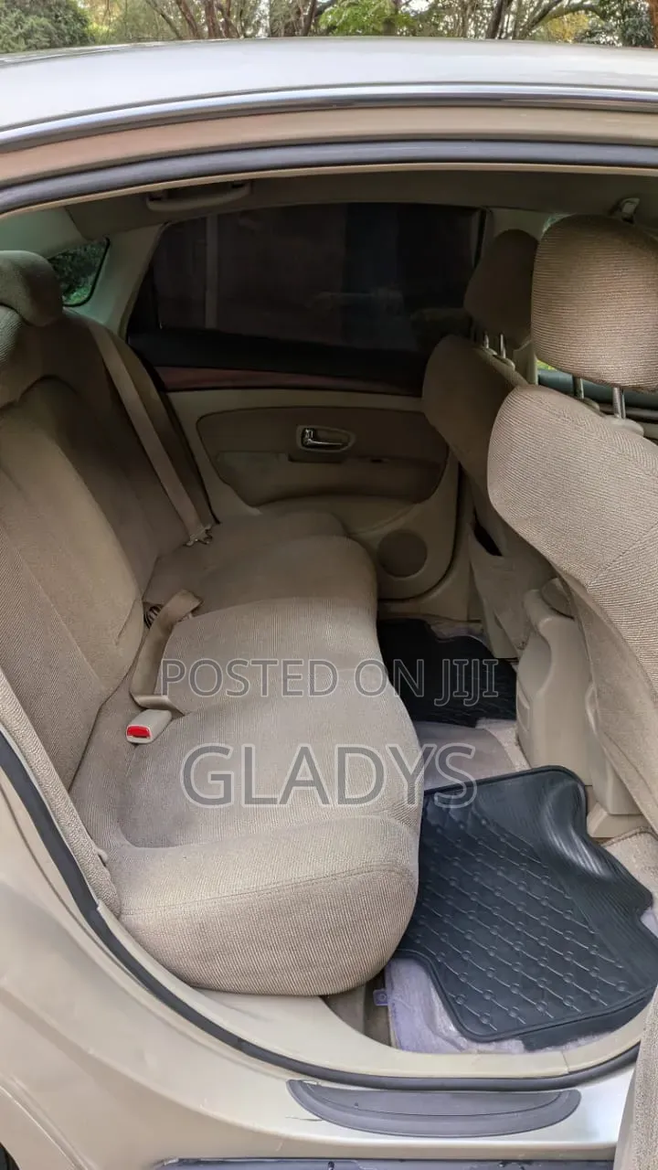 Nissan Sylphy 2008 Gold
