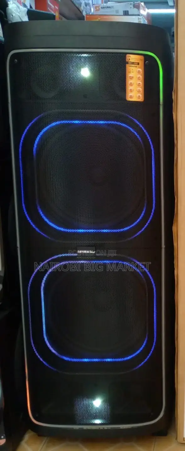 Sayona Party Speaker 12000 Watts Output Power-100wtts 2microphone
