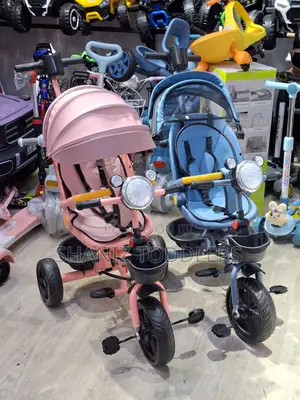 Luxury Baby Tricycle With Canopy, Light Push System