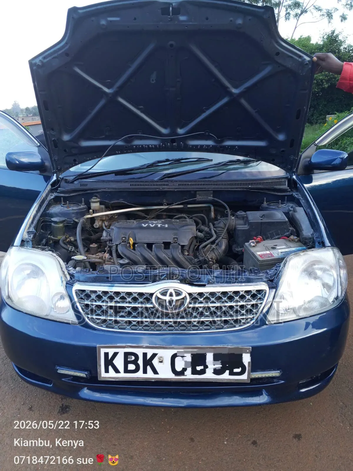 Toyota Corolla 2002 Blue