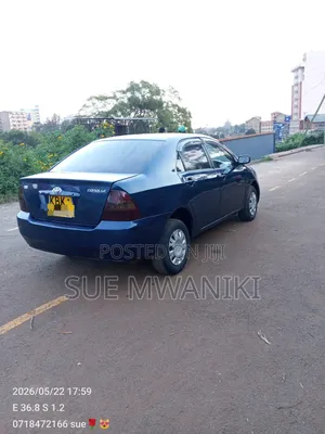 Toyota Corolla 2002 Blue