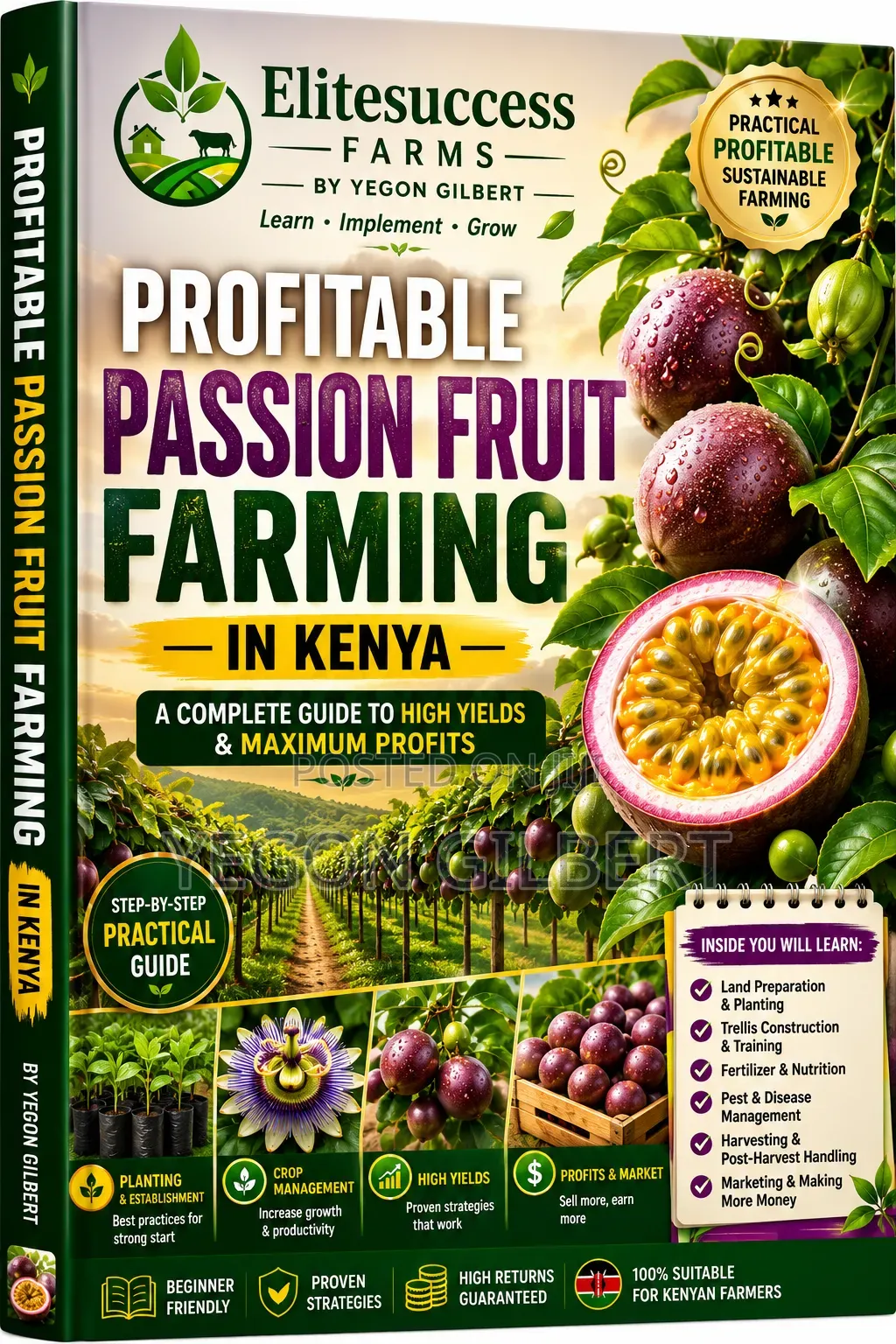 Profitable Passion Fruit Farming In Kenya – Complete (Ebook)