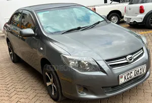 Toyota Axio 2008 Gray