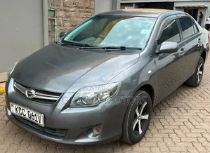 Toyota Axio 2008 Gray