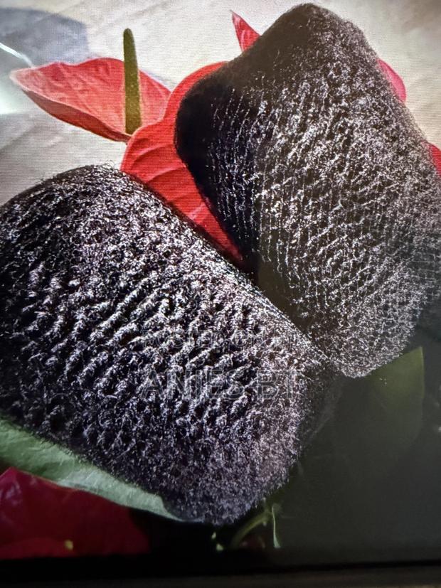 Human Hair Afrobulk Braid( Pre Stretched 50grams) - thumbnail 2
